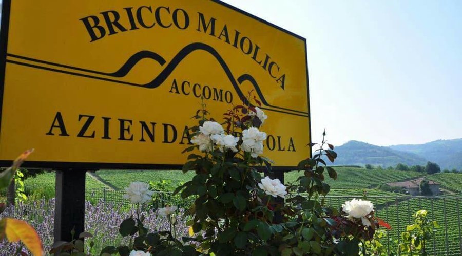 Azienda Agricola Bricco Maiolica