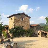Fattoria Casaloste