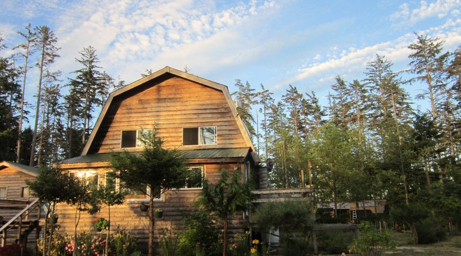 Yellow cedar cabin with ocean behind it.