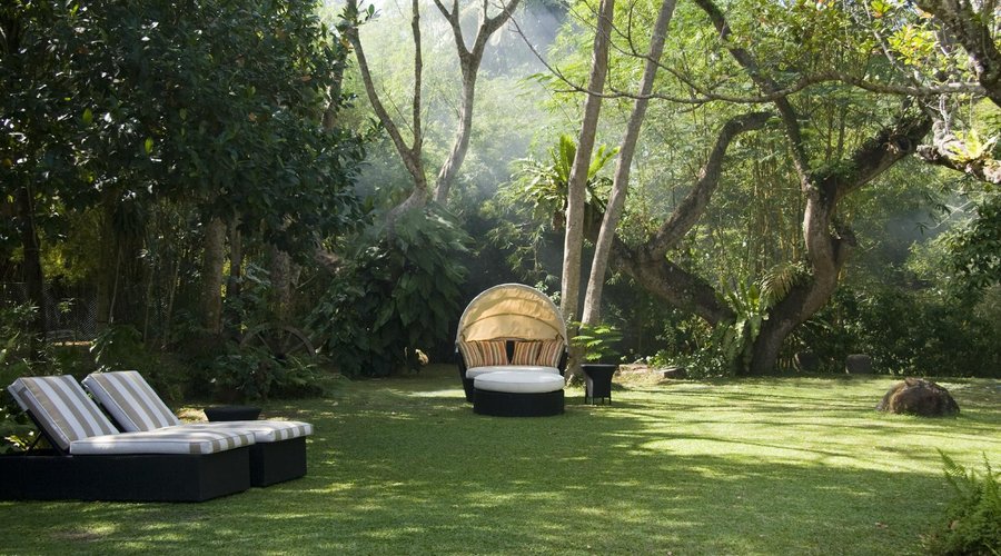Garden view