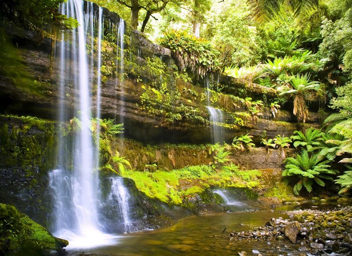 Russell Falls Day Tour