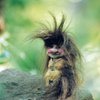 Ralf
