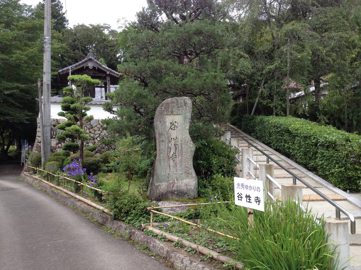 THE 15 BEST Things to Do in Kameoka 2022 (with Photos)