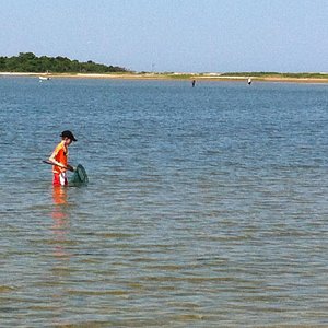 Fred Benson Town Beach - All You Need to Know BEFORE You Go (with Photos)