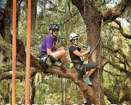 Canopy Climbers - All You Need to Know BEFORE You Go (2024)