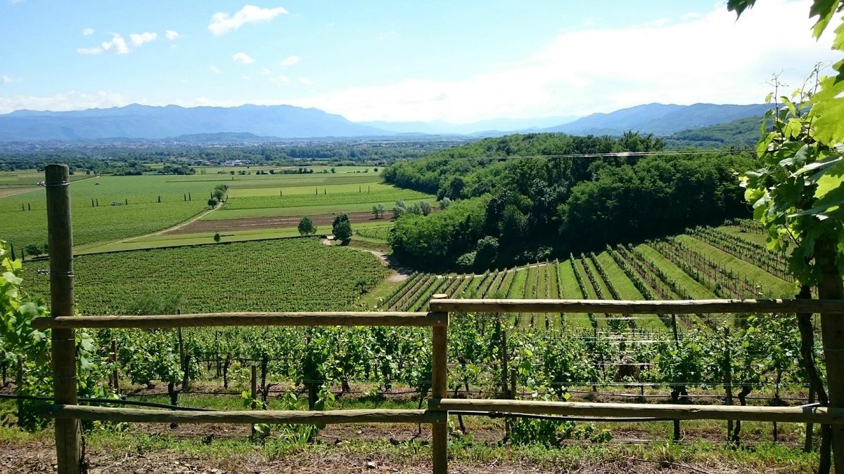 tenuta villanova farra d isonzo aktuelle 2021 lohnt es sich mit fotos tripadvisor