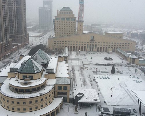 Mississauga Location