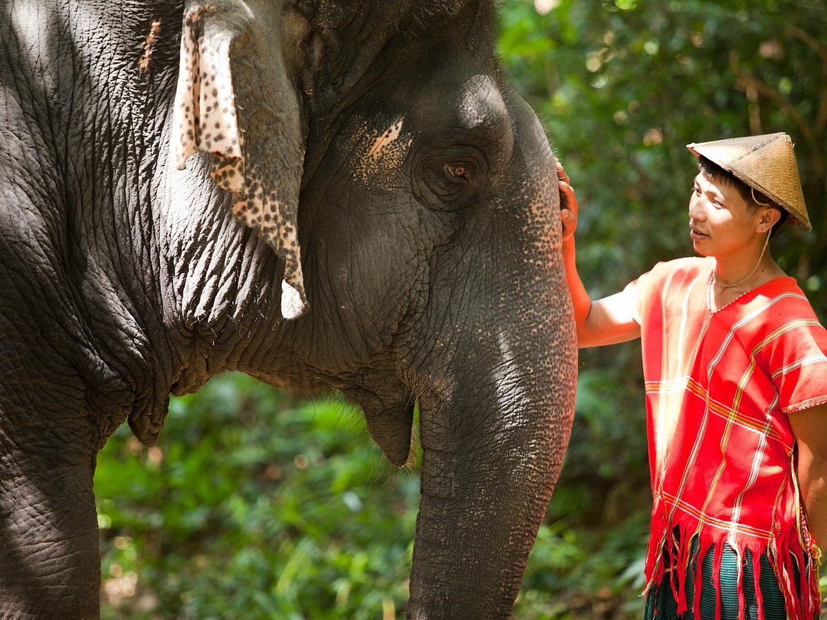 siam safari bangkok