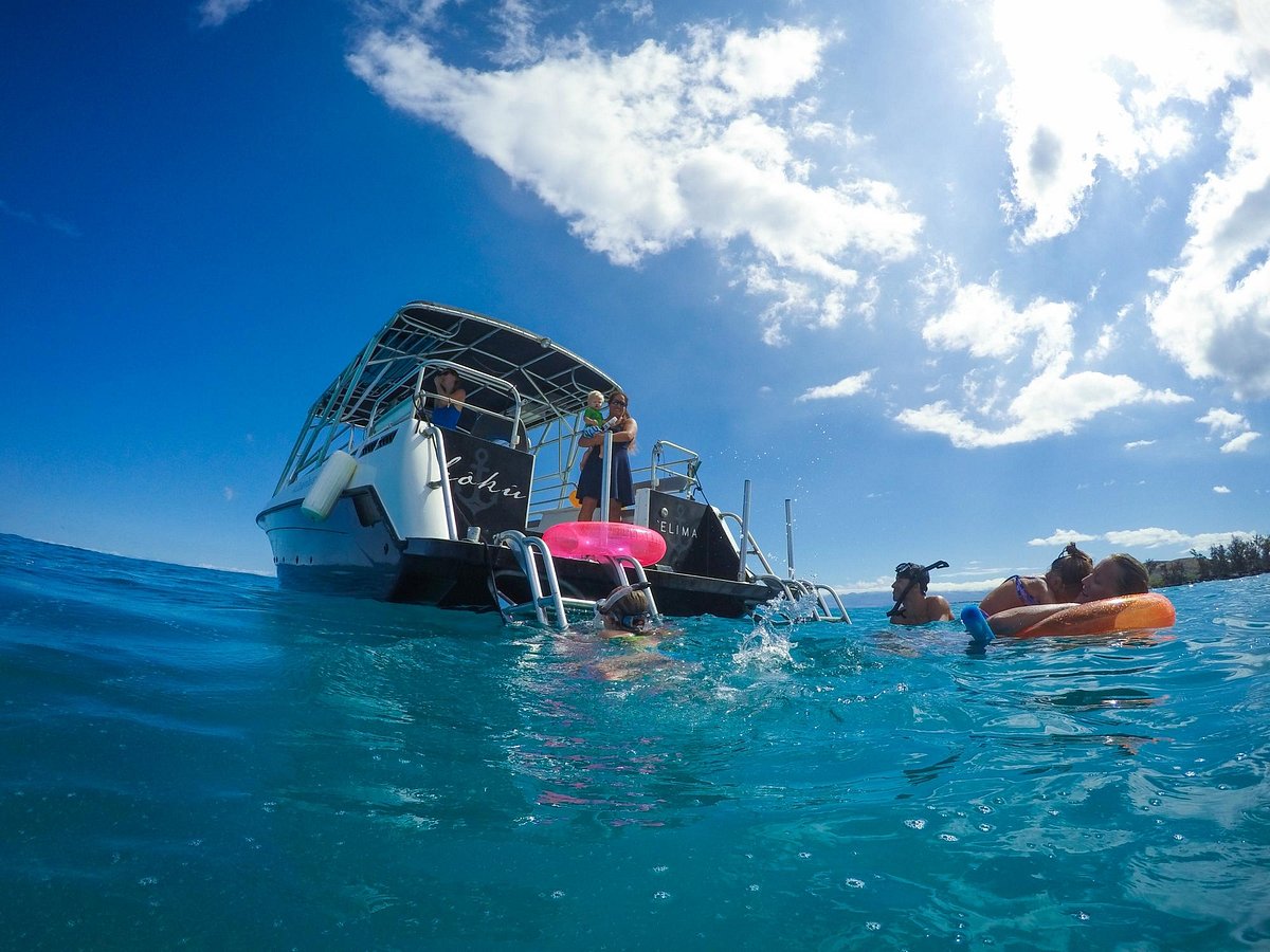 Alii Ocean Tours (Kailua-Kona) - All You Need to Know BEFORE You Go