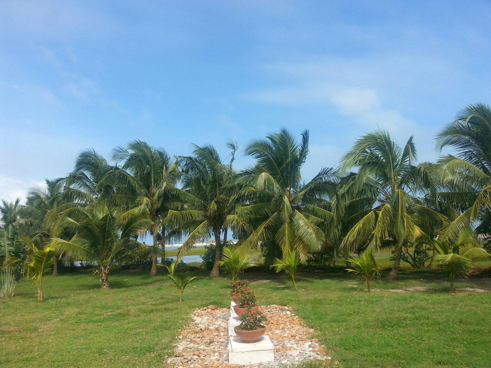 Hotel photo 64 of Bojo Beach Resort.