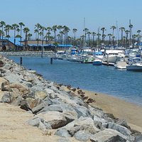 Chula Vista Marina looking from pier area east