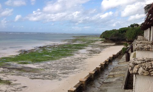 Sea bed at low tide