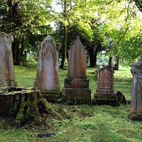 tree-stump and stones