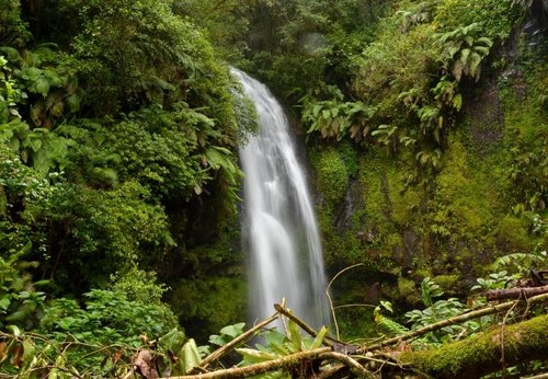 The 10 Best Madagascar National Parks With Photos Tripadvisor