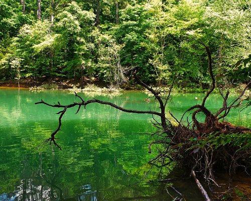 Os Melhores Pontos Turísticos Em Double Springs 2024 9989