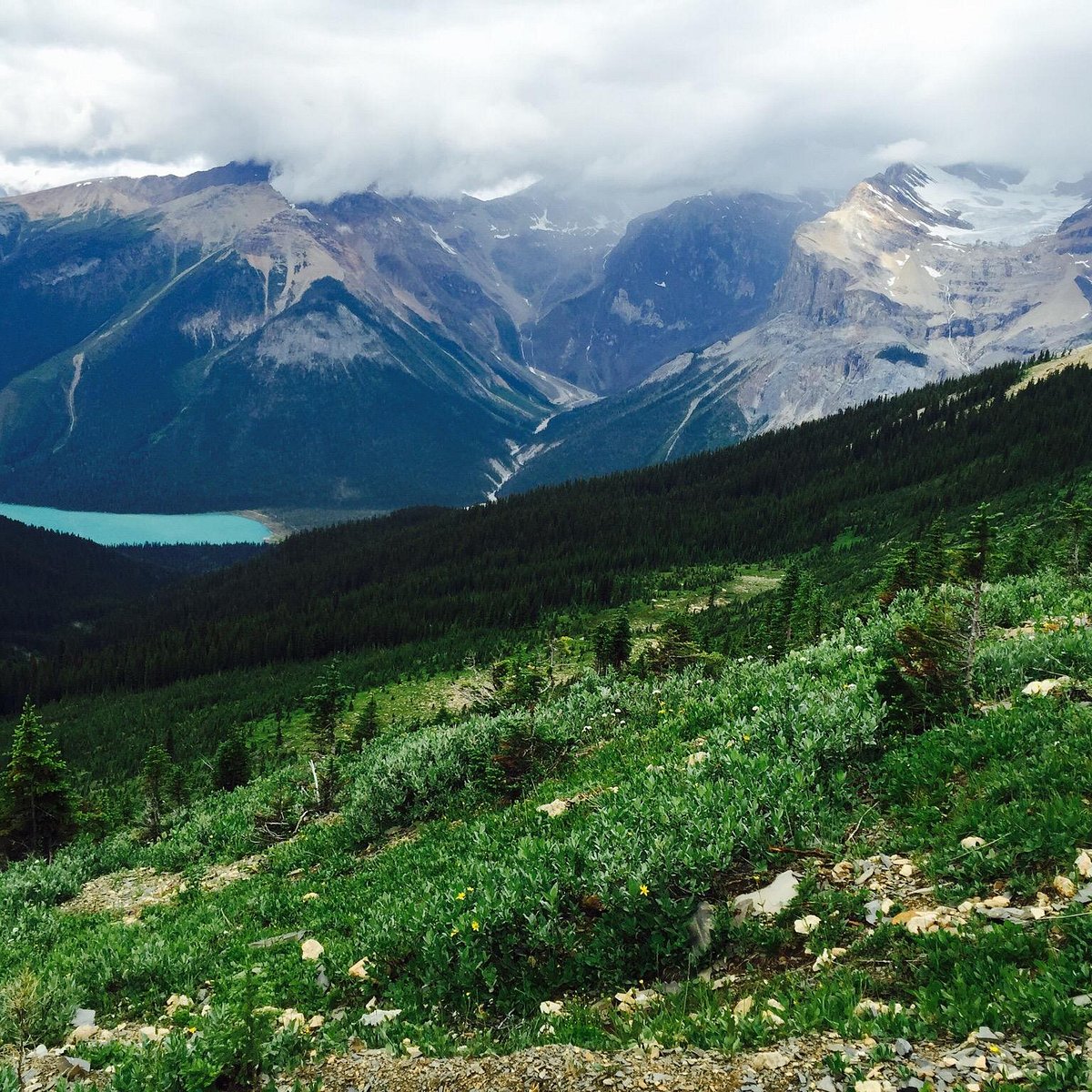 A Different Look At The Burgess Shale – The Stanley Glacier Burgess Shale  Hike, Kootenay National Park, British Columbia, Canada – GEOPOSTINGS