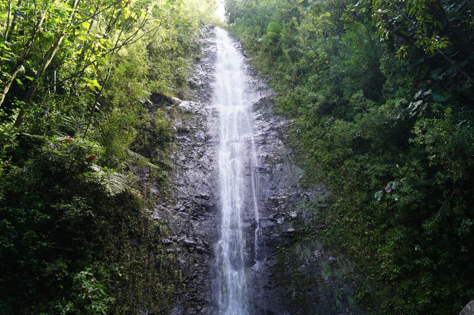 Manoa Falls