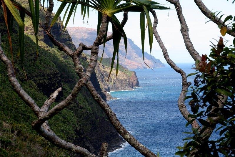 The 15 Best Things To Do In Lihue 2022 With Photos Tripadvisor