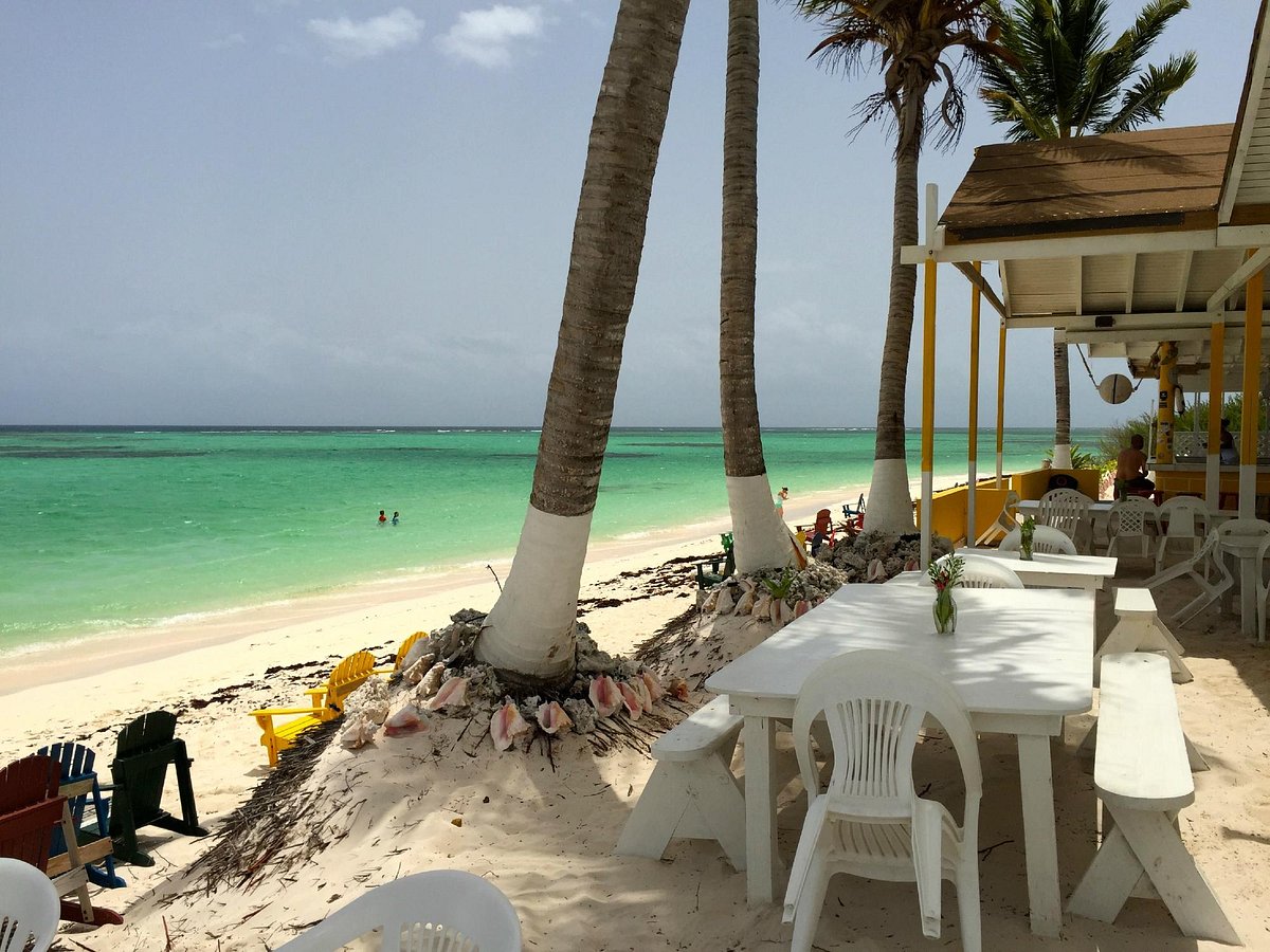 Cow Wreck Beach Bar, Анегада - фото ресторана - Tripadvisor