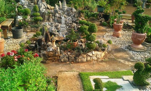 the garden