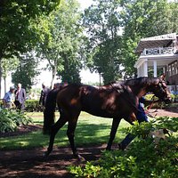Delaware Park