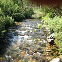 Rattlesnake National Recreation Area (Missoula) - All You Need to Know ...