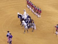 Campo Pequeno: as curiosidades e os segredos