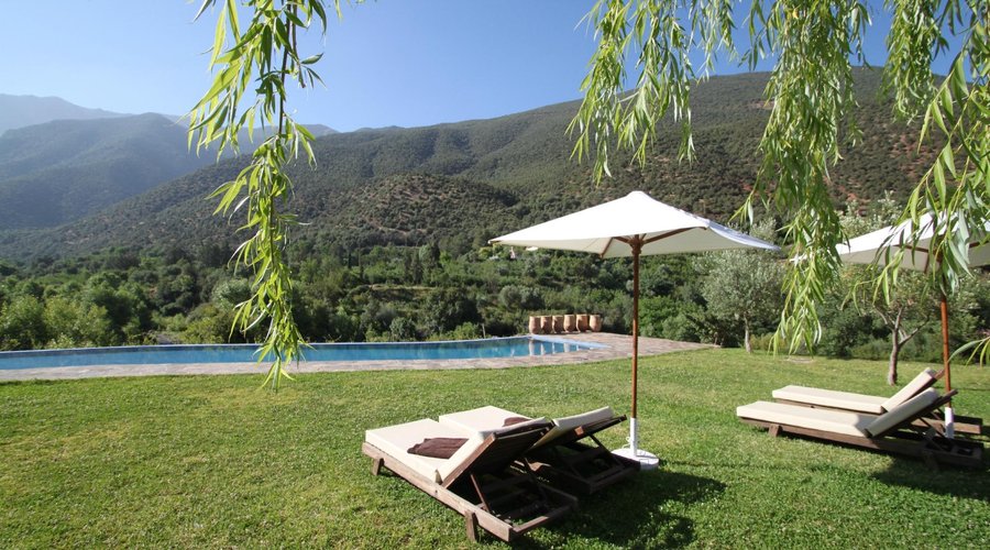 View of the pool and lawn