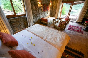Room & Suite