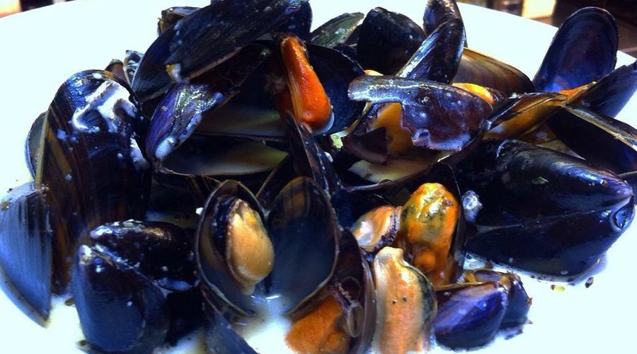 Mussels