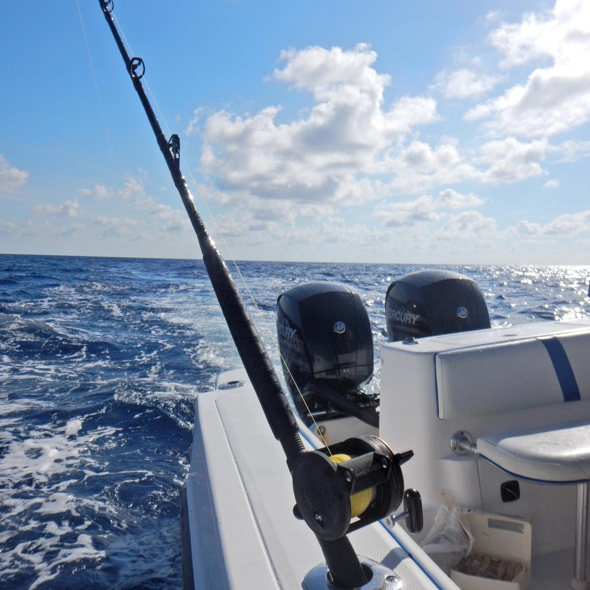 Hot Rod, a real fishing Boat/ Wild Life Experance