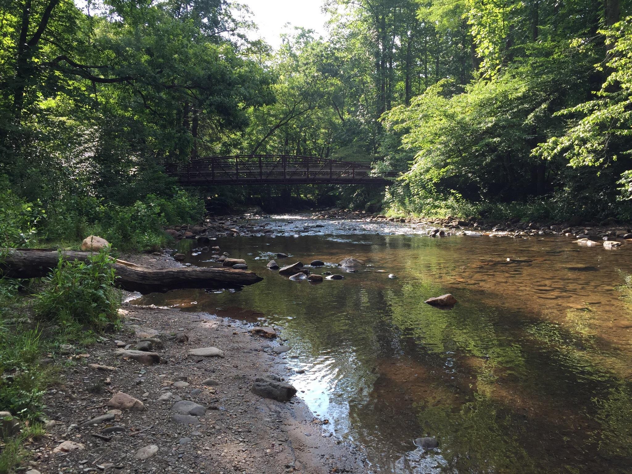 NORTH MILLS RIVER CAMPGROUND - Reviews (NC)