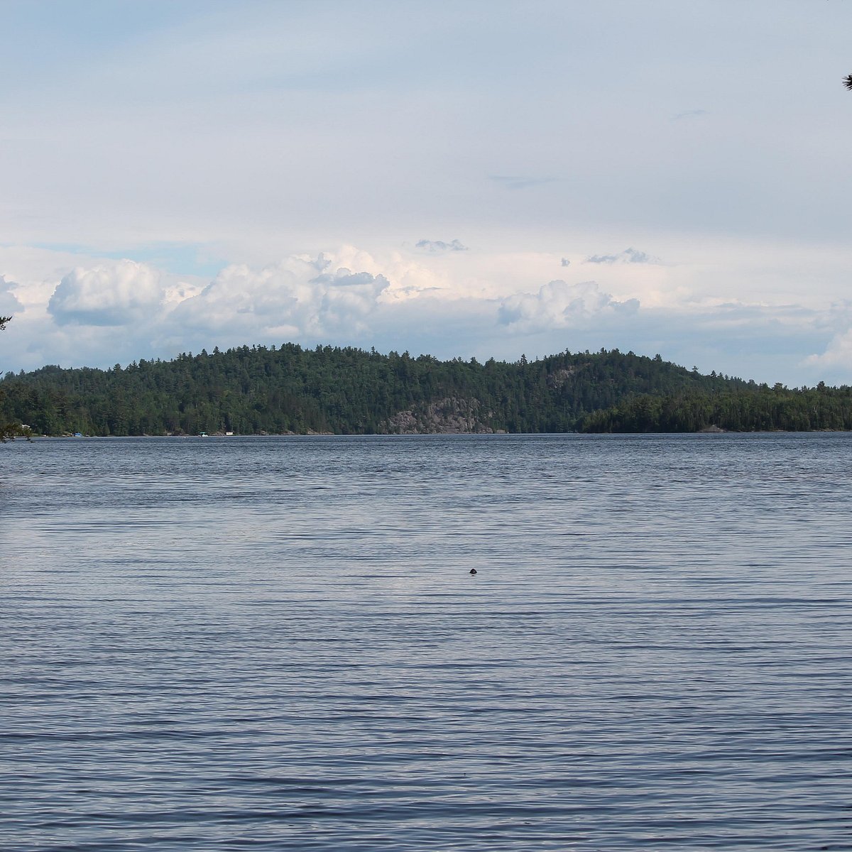 Wind lake. Вирандозеро Карелия. Вирандозеро Беломорский район. Вирандозеро Карелия 1980. Вирандозеро фото.