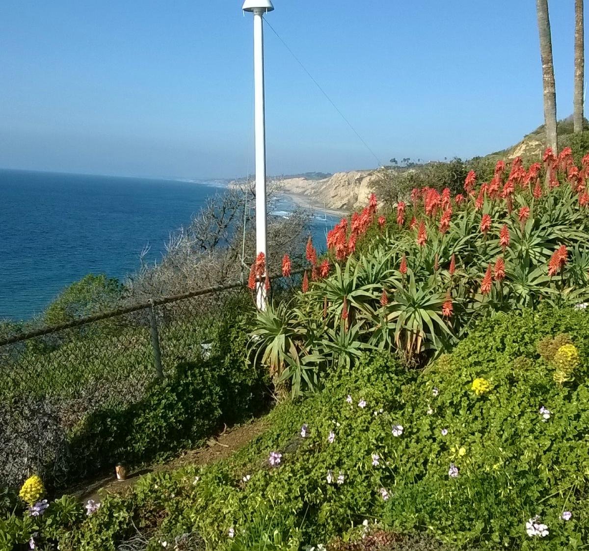 Scripps Institute of Oceanography Coastal Reserve, Ла-Хойя: лучшие советы  перед посещением - Tripadvisor