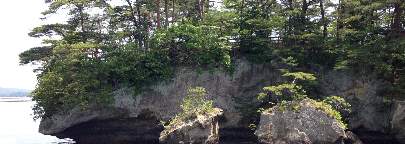 Picture of the island