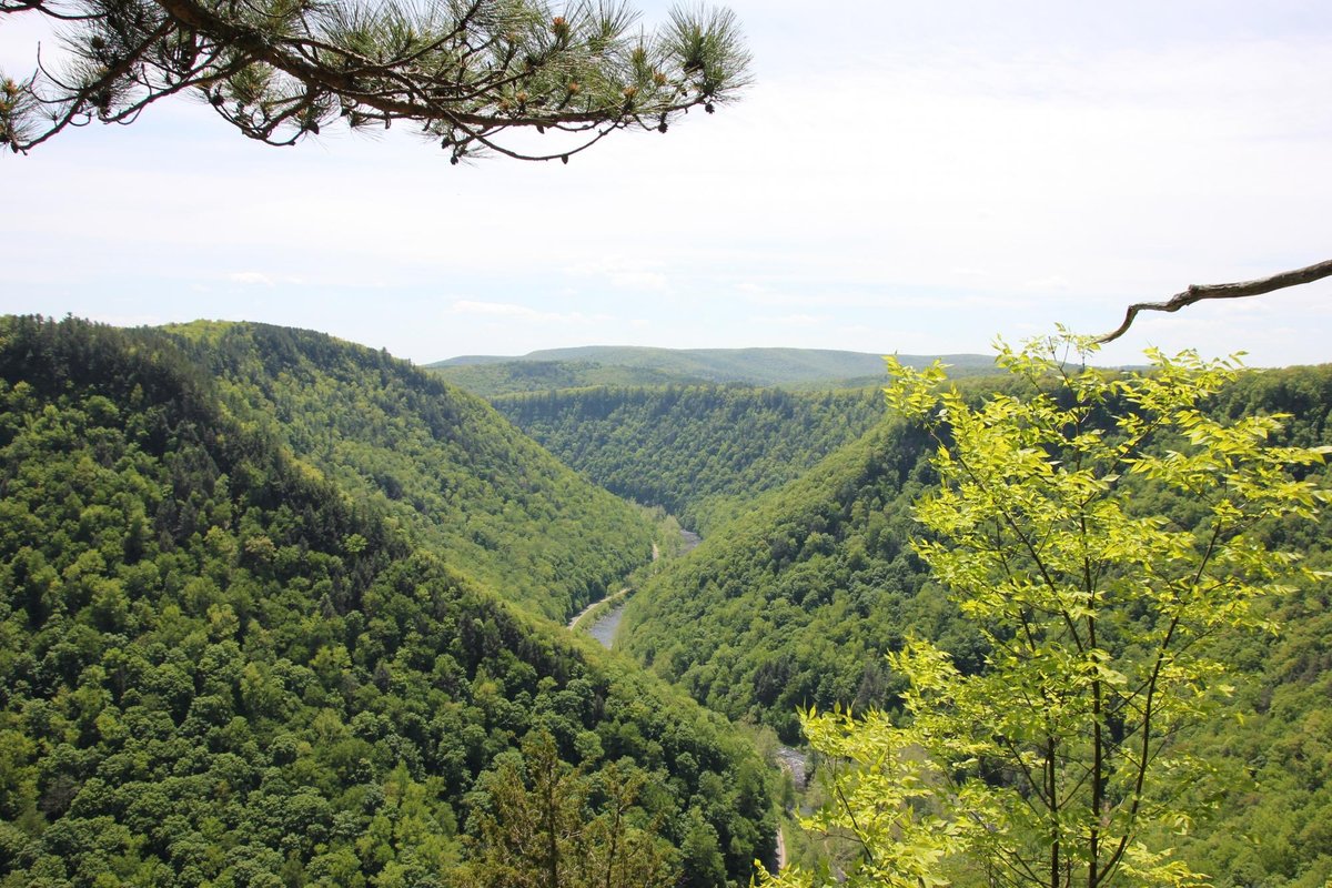 TWIN STREAMS CAMPGROUND - Reviews (Morris, PA)