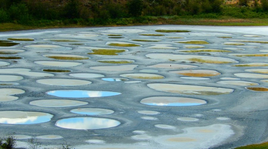 Spotted Lake