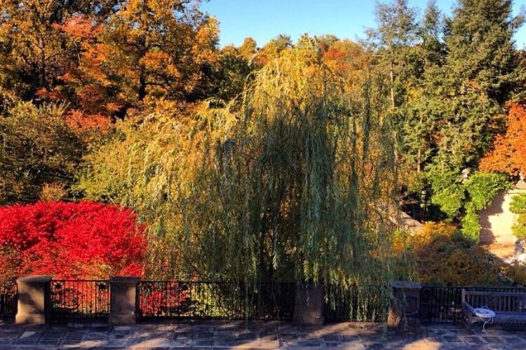 華盛頓(哥倫比亞特區), 哥倫比亞特區)敦巴頓橡樹園- 旅遊景點評論- Tripadvisor