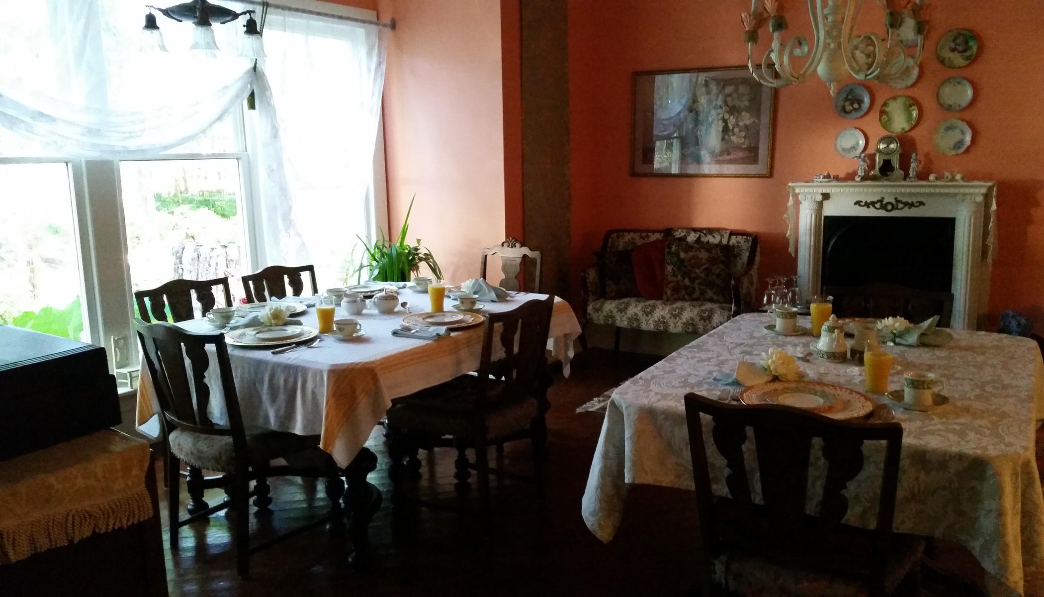 Blue Fern Bed and Breakfast by null