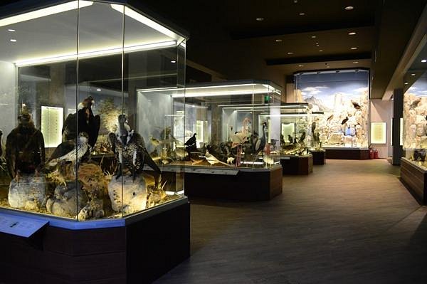 Natural History Museum of Meteora & Mushroom Museum image