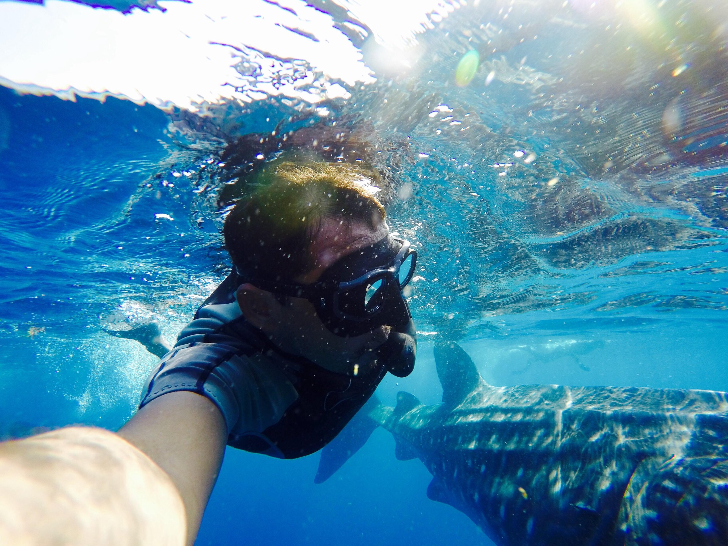 playa del carmen snorkeling tour