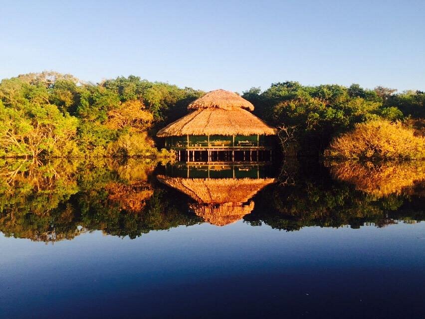 JUMA AMAZON LODGE - Updated 2020 Prices, Reviews, and Photos (Brazil/AM ...