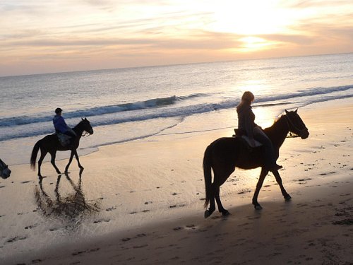 Balade à cheval sur la plage en Andalousie - Andaluciamia