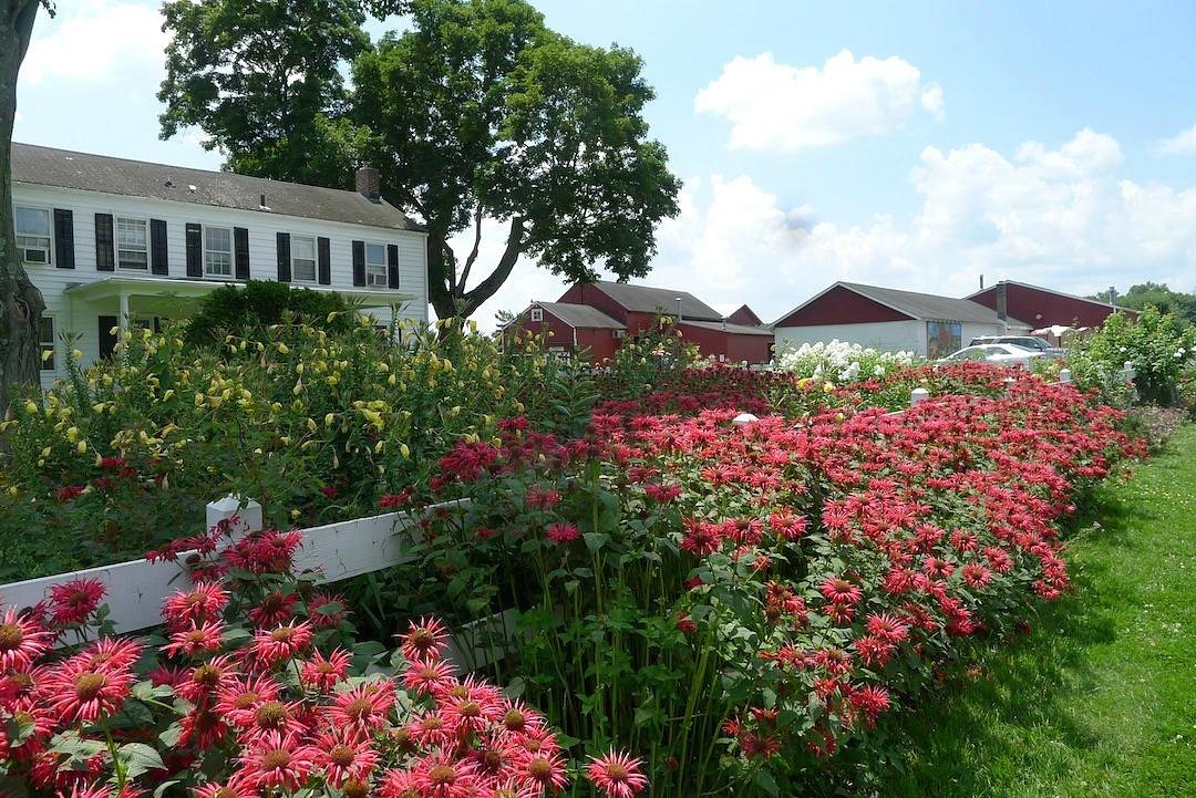 Terhune Orchards & Winery (Lawrence Township)   All You Need To Know