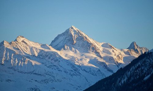 Vue