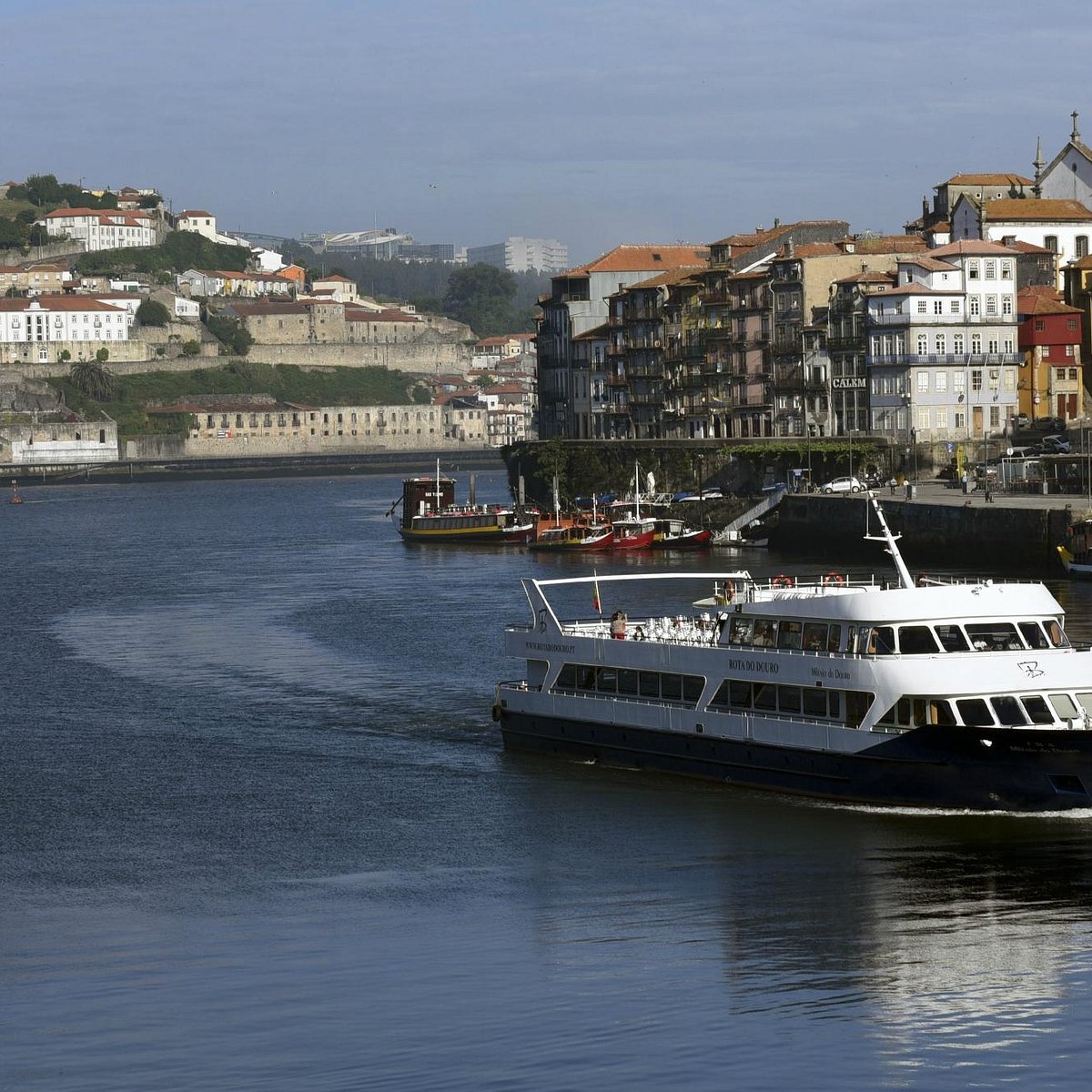 rota do douro tours