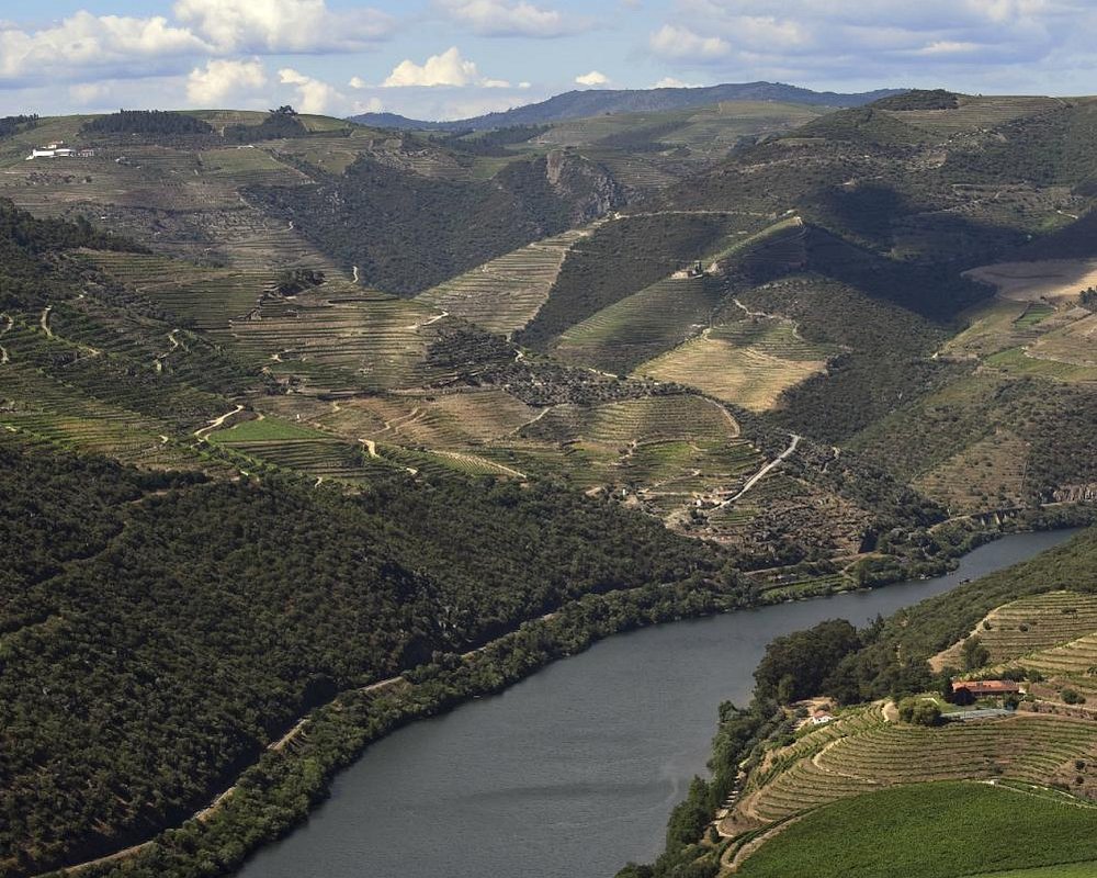 rota do douro tours