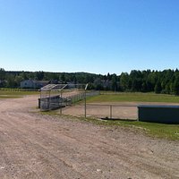 Dyer's Field