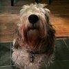 Joewashere2