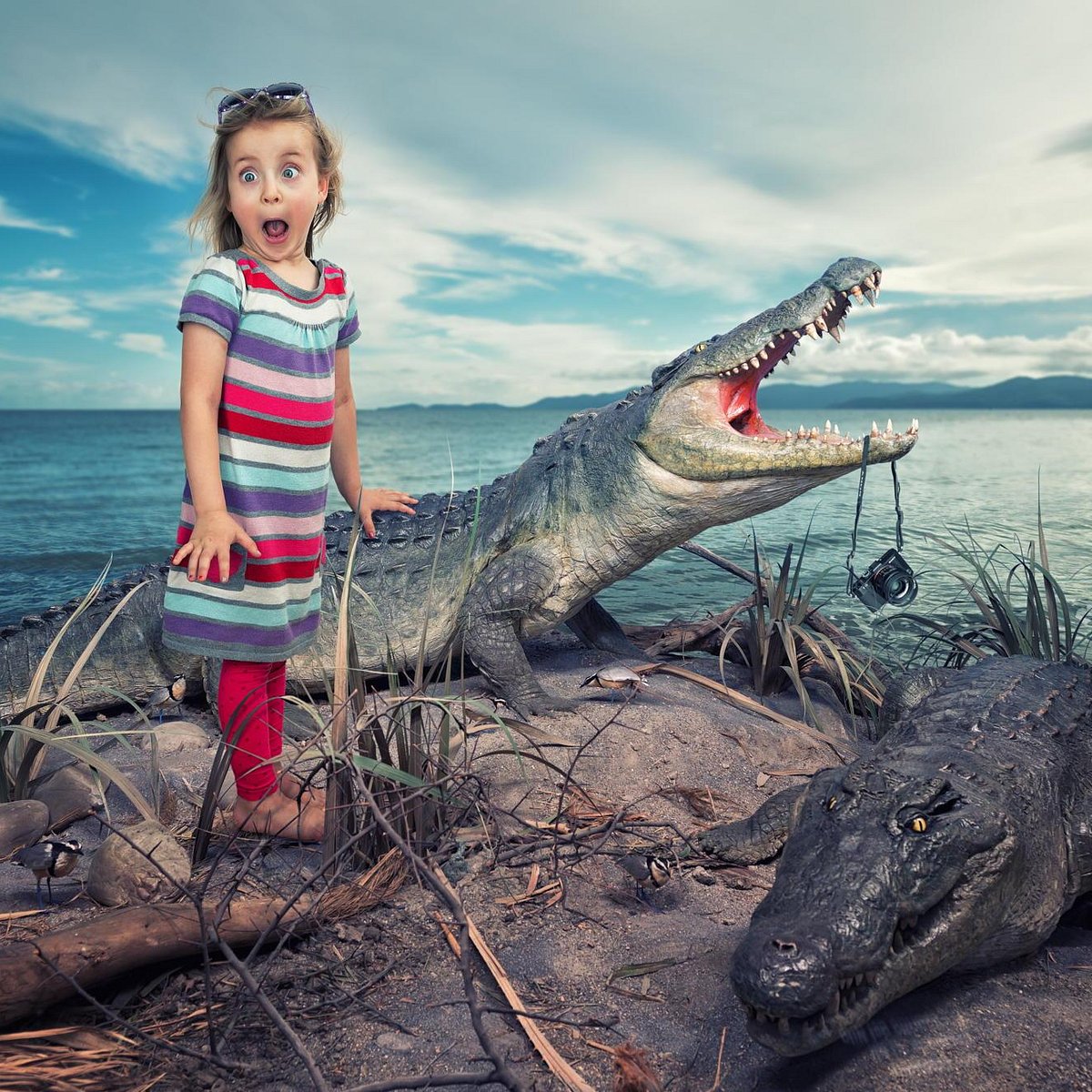 Лучшие фотографии фотошопа. Швейцарский фотограф Джон Вильгельм. Фотохудожник Джон Вильгельм. John Wilhelm фотограф. «Мои безбашенные Дочки» — проект Джона Вильгельма.